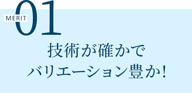 MERIT 01 技術が確かでバリエーション豊か!