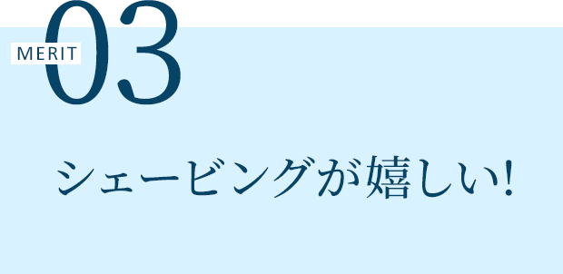MERIT 03 シェービングが 嬉しい!